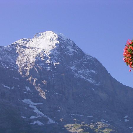 Hotel Bellary Grindelwald Exterior photo