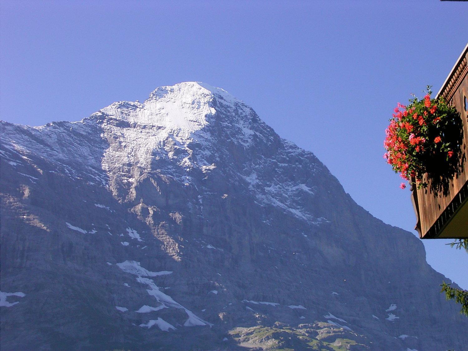 Hotel Bellary Grindelwald Exterior photo